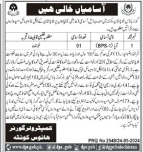 Governor House Balochistan Jobs 2024 Jobs 2024 — original advertisement