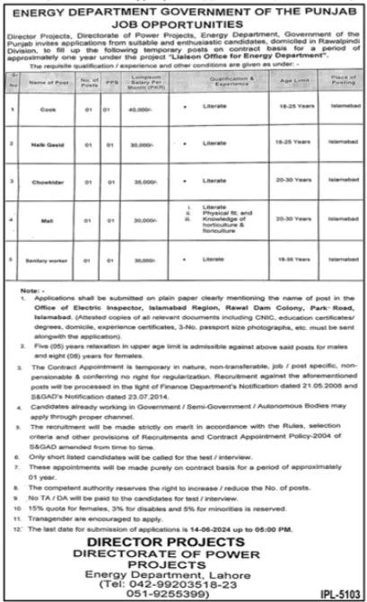 Energy Department Punjab Jobs 2024 Jobs 2024 — original advertisement