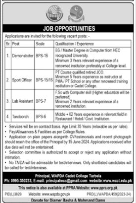 Wapda Cadet College Tarbela Jobs 2024 Jobs 2024 — original advertisement