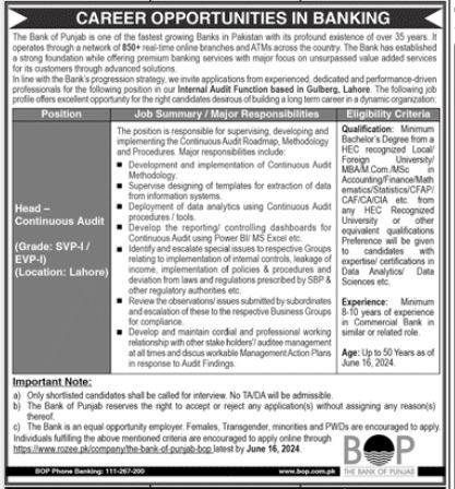 The Bank Of Punjab BOP Jobs 2024 Jobs 2024 — original advertisement