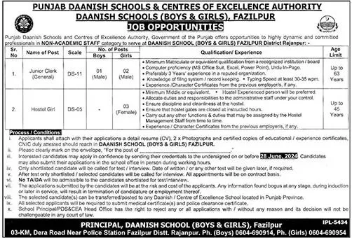 Punjab Daanish Schools & Center Of Excellence Rojhan Jobs Jobs 2024 — original advertisement