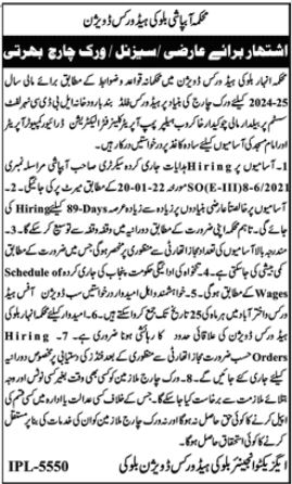 Balloki Head Works Division Irrigation Department Jobs 2024 – Irrigation Department Punjab Jobs 2024 — original advertisement
