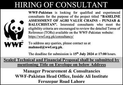 World Wide Fund wwf Pakistan Punjab Jobs 2024 Jobs 2024 — original advertisement