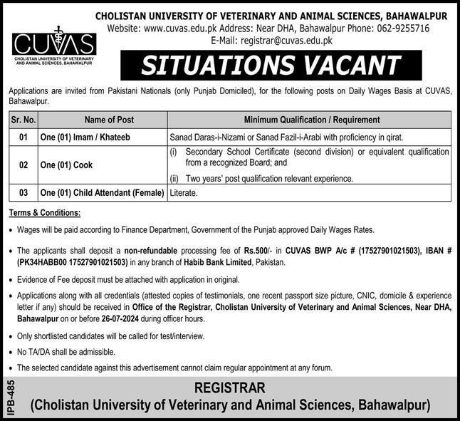 Cholistan University of Veterinary And Animal Sciences Jobs – Cholistan University of Veterinary and Animal Sciences Bahawalpur Jobs 2024 — original advertisement