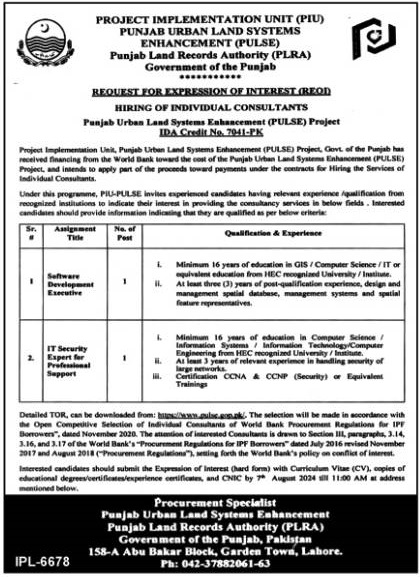 Punjab Urban Land Systems Enhancement PULSE Jobs 2024 – Punjab Land Records Authority Jobs 2024 — original advertisement