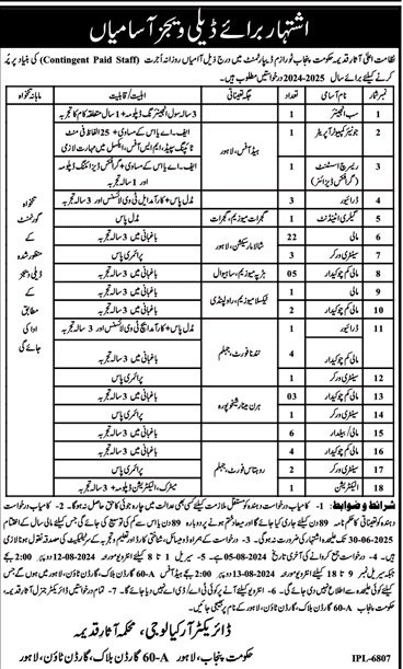 Ministry For Culture And Heritage Lahore Jobs 2024 – Directorate of Culture and Heritage Department Jobs 2024 — original advertisement