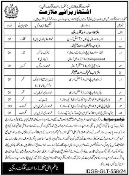 Agriculture Department Gilgit Jobs 2024 – Government of Gilgit-Baltistan Jobs 2024 — original advertisement