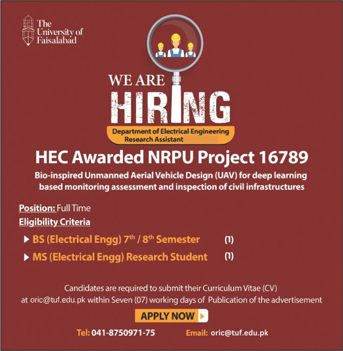 The University Of Faisalabad Punjab Jobs 2024 Jobs 2024 — original advertisement