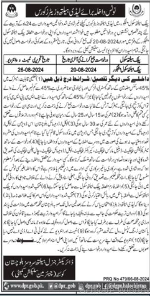 Adnission Open in Public Health School Pangoor 2024 – Public Health Engineering Department Balochistan Admissions 2024 — original advertisement