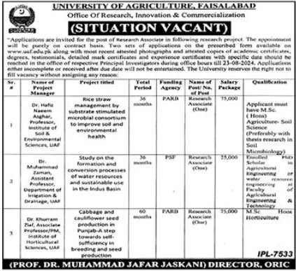University Of Agriculture UAF Faislabad Jobs 2024 – University of Agriculture Faisalabad Jobs 2024 — original advertisement