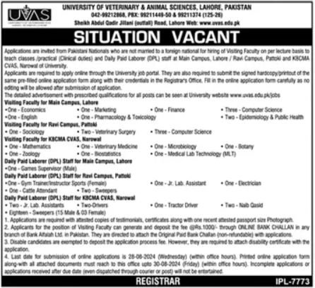 University Of Veterinary And Animal Science Jobs 2024 – University of Veterinary and Animal Sciences Lahore Jobs 2024 — original advertisement