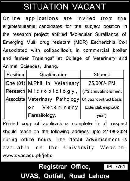 University Of Veterinary And Animal Science Jhang Jobs 2024 – University of Veterinary and Animal Sciences Lahore Jobs 2024 — original advertisement