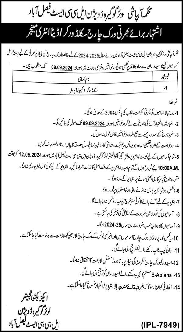 Irrigation Department Faisalabad Punjab Jobs 2024 – Irrigation Department Punjab Jobs 2024 — original advertisement