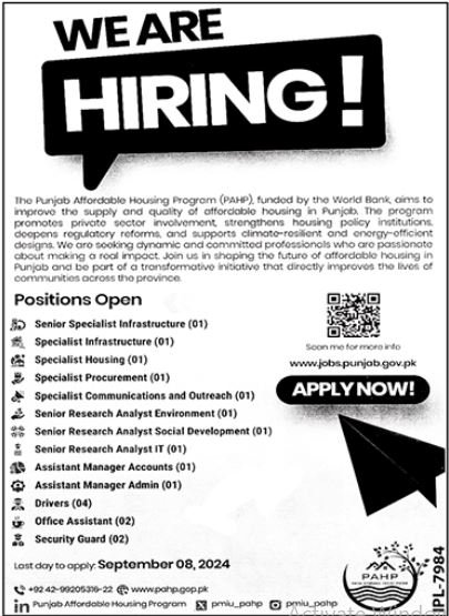 Punjab Affordable Housing Program PAHP Jobs 2024 Jobs 2024 — original advertisement