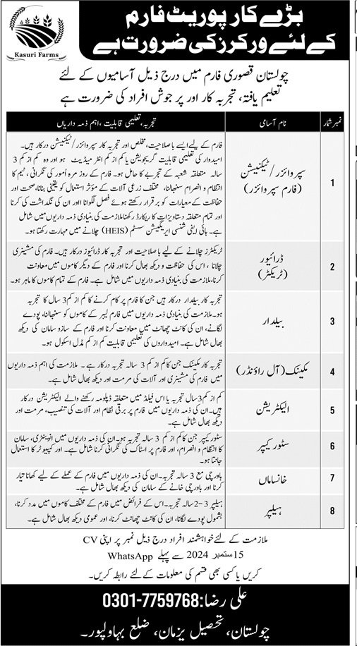 Chulistan Kasur Form Jobs 2024 – Public Sector Organization Jobs 2024 — original advertisement