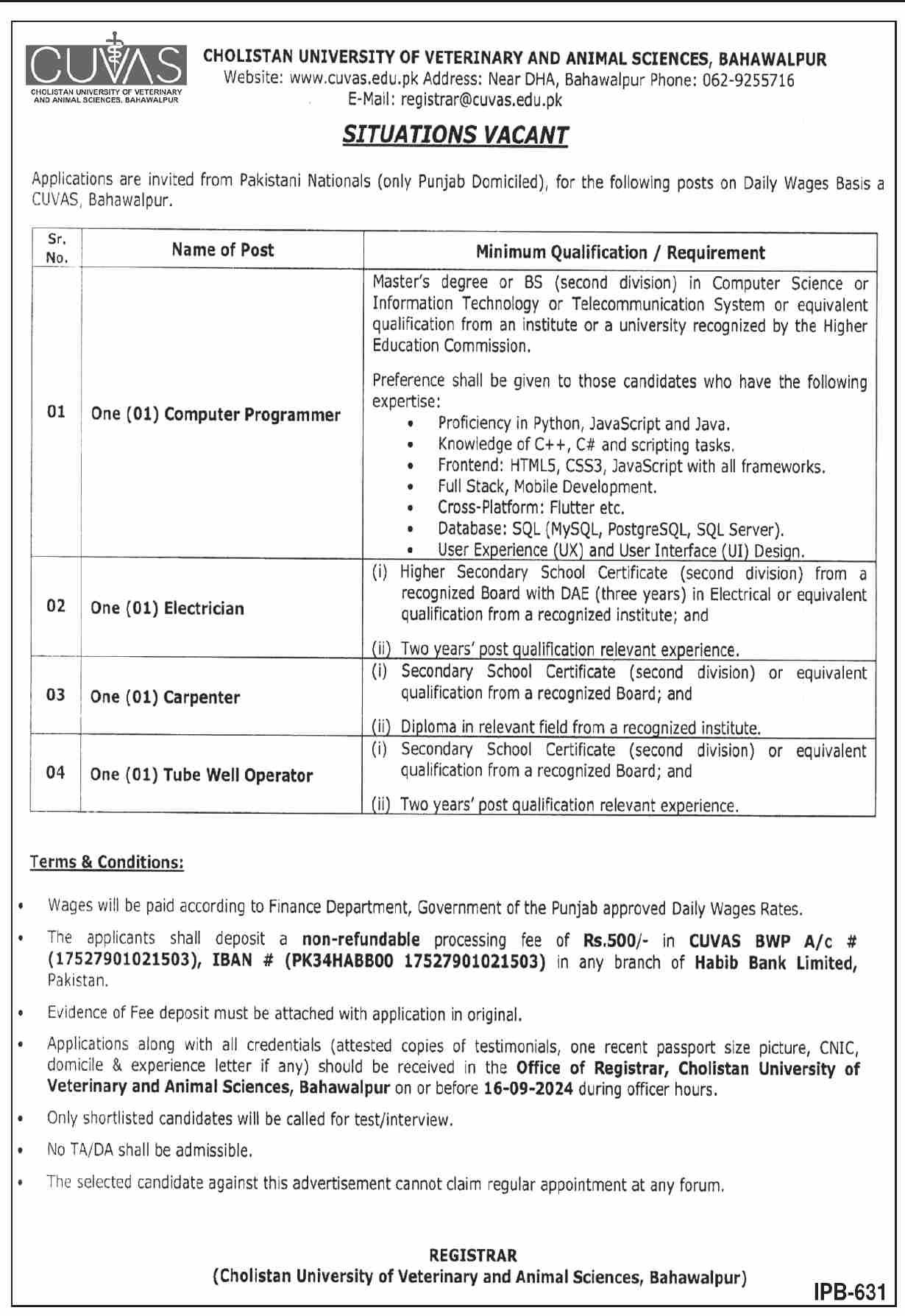 Cholistan University Of Veterinary & Animal Sciences Jobs – Cholistan University of Veterinary and Animal Sciences Bahawalpur Jobs 2024 — original advertisement