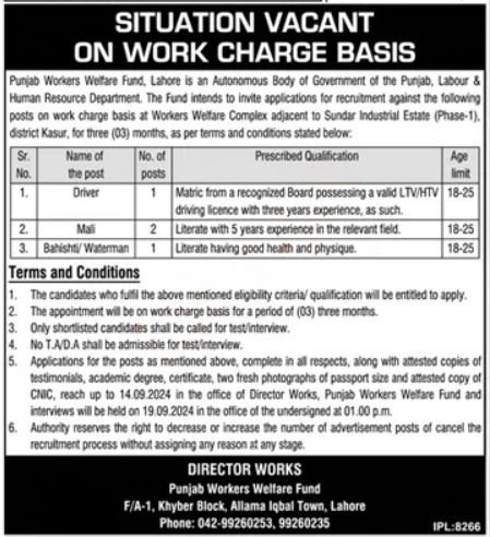 Punjab Workers Welfare Fund Punjab Jobs 2024 – Private Sector Organization Jobs 2024 — original advertisement