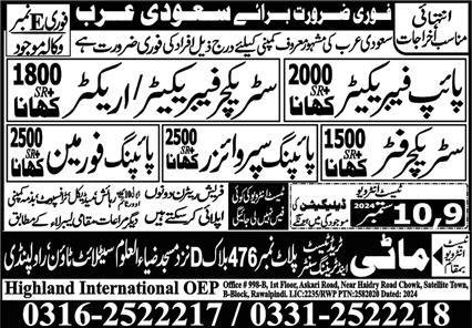 Structure Fitter & Structure Erector Jobs 2024 – Multi Professional Manpower Services Jobs 2024 — original advertisement