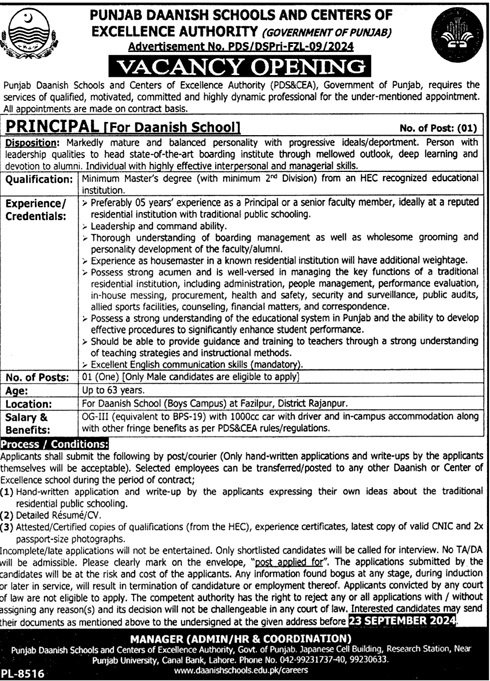 Punjab Daanish Schools & Center Of Excellence Authority Jobs Jobs 2024 — original advertisement