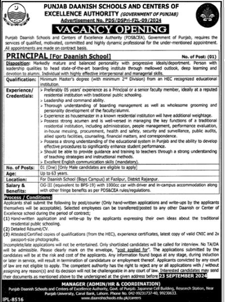 Punjab Daanish Schools Lahore Punjab Jobs 2024 Jobs 2024 — original advertisement