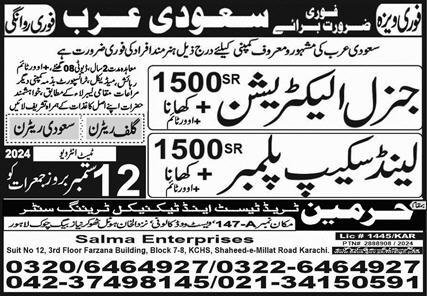 General Electrician & Landscape Plumber Jobs 2024 – Harmain Trade Test & Technical Training Center Jobs 2024 — original advertisement