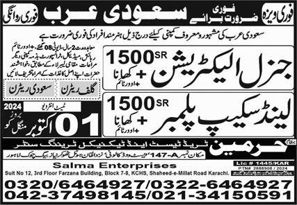 Land Scape Plumber And General Electrican Jobs in Ksa 2024 – Harmain Trade Test & Technical Training Center Jobs 2024 — original advertisement