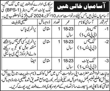 Government Organization Chaghi Jobs 2024 – Public Sector Organization Jobs 2024 — original advertisement