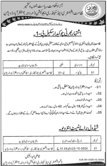 Education Department AJK Muzaffarabad Jobs 2024 – Elementary & Secondary Education AJK Jobs 2024 — original advertisement
