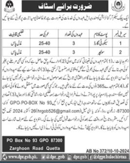 Public Sector Organization Quetta Jobs 2024 Jobs 2024 — original advertisement