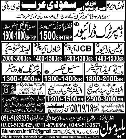 AutoCAD Operator & Land Surveyor Jobs 2024 – Blue Moon Enterprises Jobs 2024 — original advertisement
