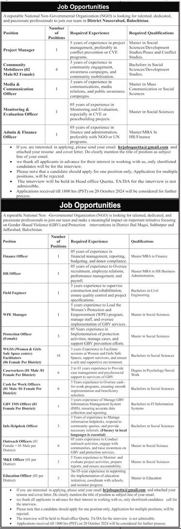 Reputable National Non Government Organization Ngo Jobs 2024 – Public Sector Organization Jobs 2024 — original advertisement