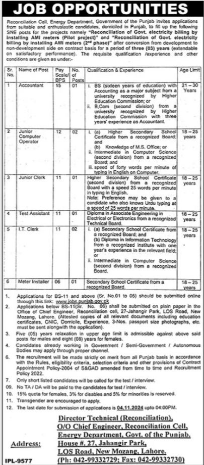 Energy Department Punjab Jobs 2024 Jobs 2024 — original advertisement