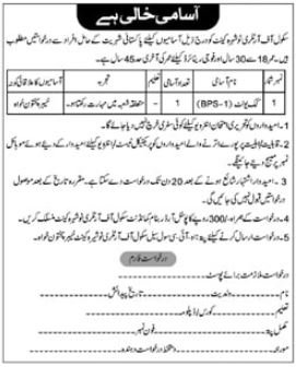 School of Artillery Nowshera Cantt Army Nowshera Jobs 2024 – Pakistan Army Jobs 2024 — original advertisement