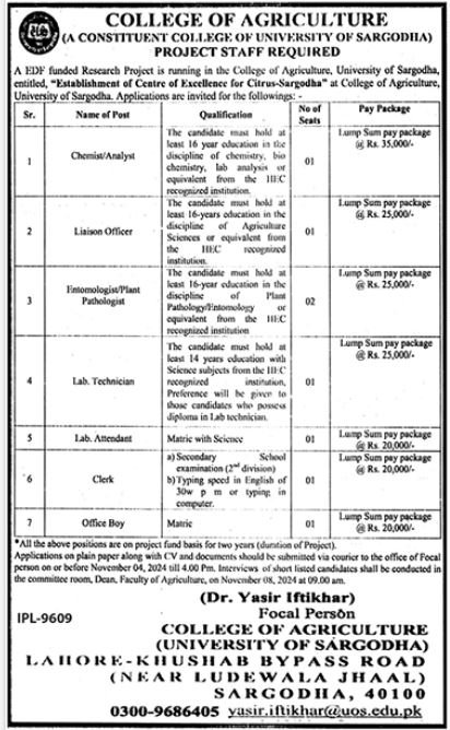 College of Agriculture University of Sargodha Punjab Jobs Jobs 2024 — original advertisement