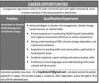 Progressive Organization Balochistan Jobs 2024 – Public Sector Organization Jobs 2024 — original advertisement