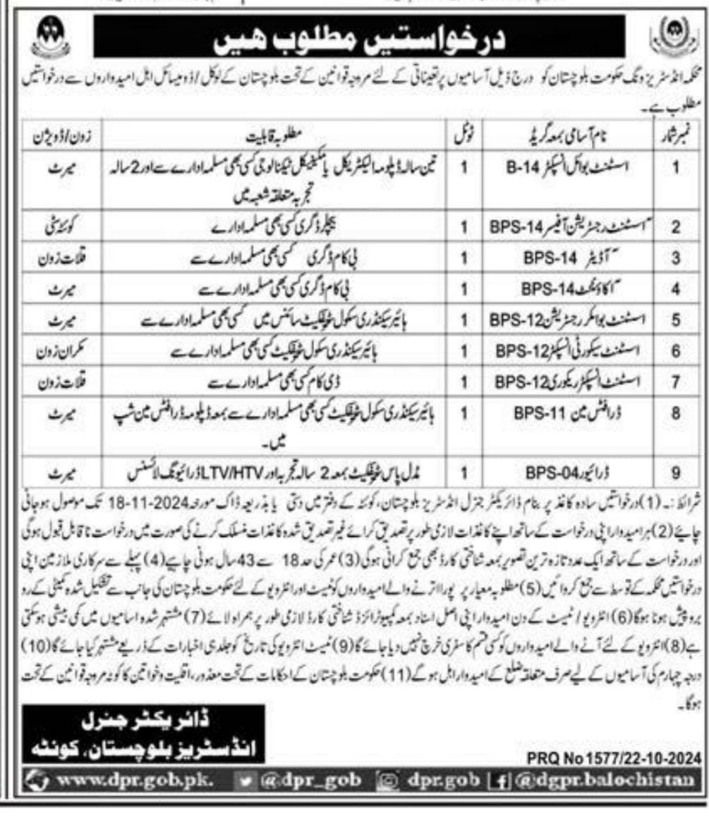Industries Wing Balochistan Jobs 2024 – Small Industries Wing Balochistan Jobs 2024 — original advertisement