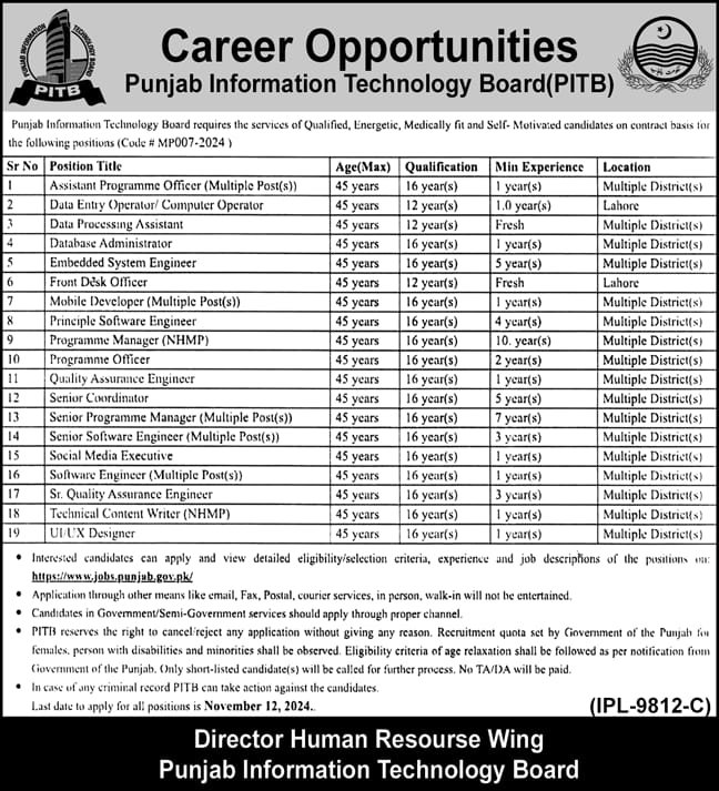 Punjab Information Technology Board Jobs 2024 Jobs 2024 — original advertisement
