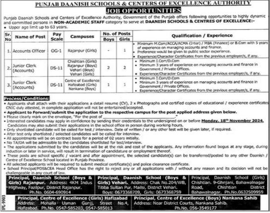 Punjab Daanish Schools & Center Of Excellence Authority Jobs Jobs 2024 — original advertisement
