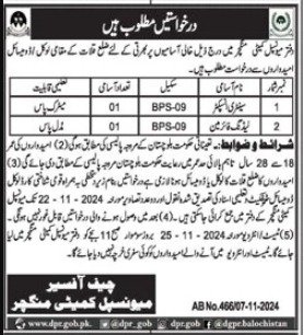 Municipal Committee Mangochar Jobs 2024 – Muncipal Commette Jobs 2024 — original advertisement