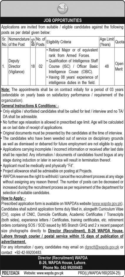 Water & Power Development Authority WAPDA Jobs 2024 – Water and Power Development Authority Jobs 2024 — original advertisement