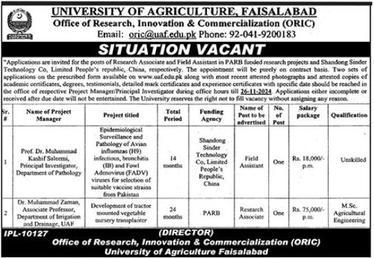 University Of Agriculture Faisalabad UAF Jobs 2024 Jobs 2024 — original advertisement
