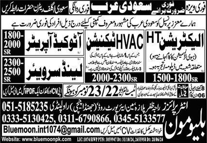 Electrician And Land Surveyor Jobs In Saudi Arabia – Blue Moon Enterprises Jobs 2024 — original advertisement