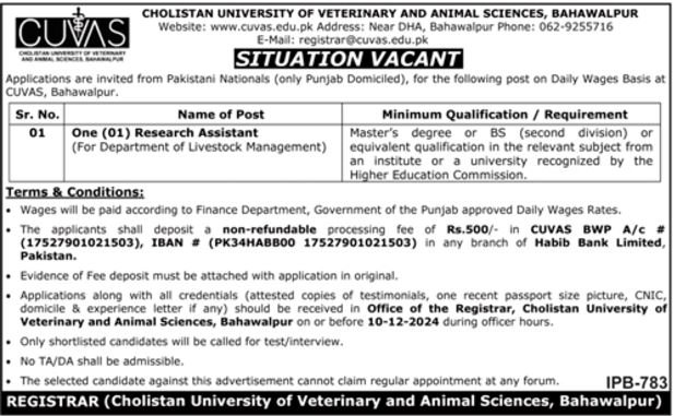 Cholistan University Of Veterinary And Animal Jobs 2024 – Cholistan University of Veterinary and Animal Sciences Bahawalpur Jobs 2024 — original advertisement
