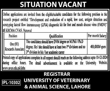 University Of Veterinary & Animal Sciences UVAS Jobs 2024 – University of Veterinary and Animal Sciences Lahore Jobs 2024 — original advertisement