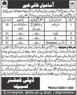 Board Of Revenue BOR Lasbela Jobs 2024 – Board of Revenu Balochistan Jobs 2024 — original advertisement