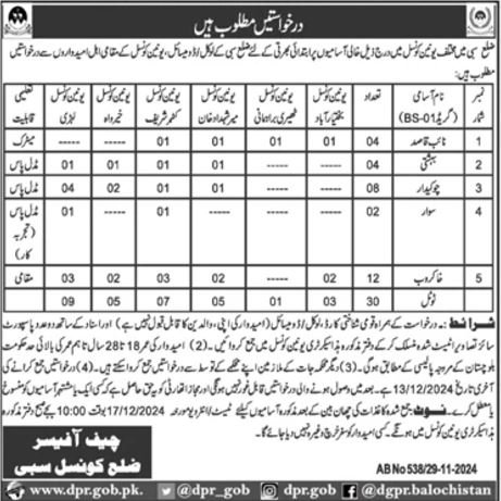 District Council Sibi Jobs 2024 Jobs 2024 — original advertisement