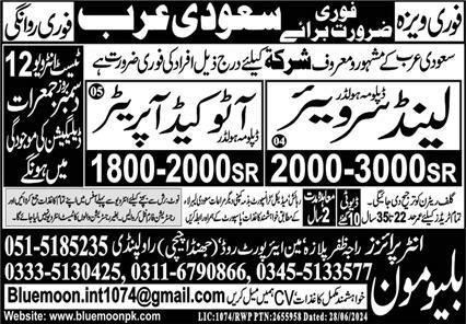 AutoCAD Operator & Land Surveyor Jobs 2024 In Saudi Arabia – Blue Moon Enterprises Jobs 2024 — original advertisement