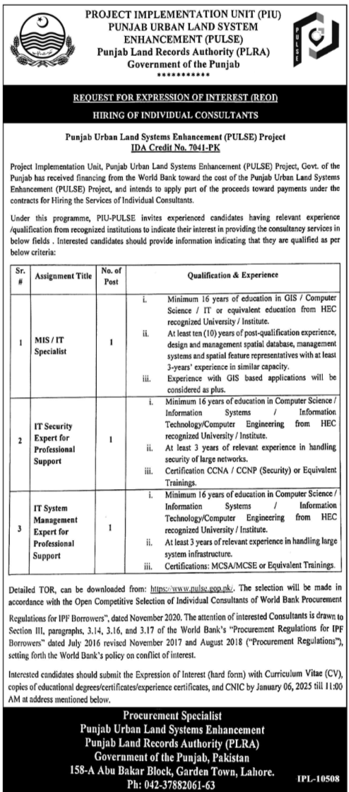 Punjab Urban Land Systems Enhancement PULSE Jobs 2025 – Punjab Land Records Authority Jobs 2024 — original advertisement