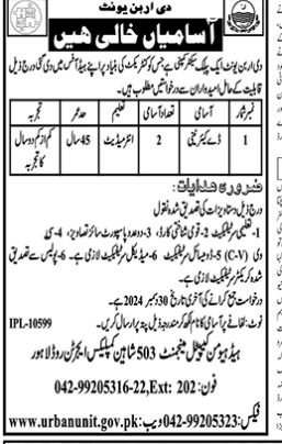 The Urban Unit Punjab Lahore Jobs 2024 Jobs 2024 — original advertisement
