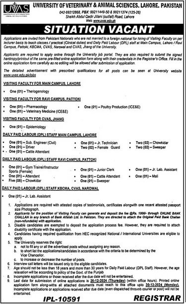 University of Veterinary & Animal Sciences (UVAS) Lahore Job – University of Veterinary and Animal Sciences Lahore Jobs 2024 — original advertisement